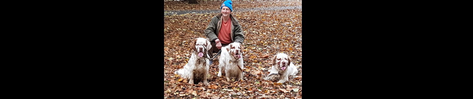 Whissgig Clumber Spaniels